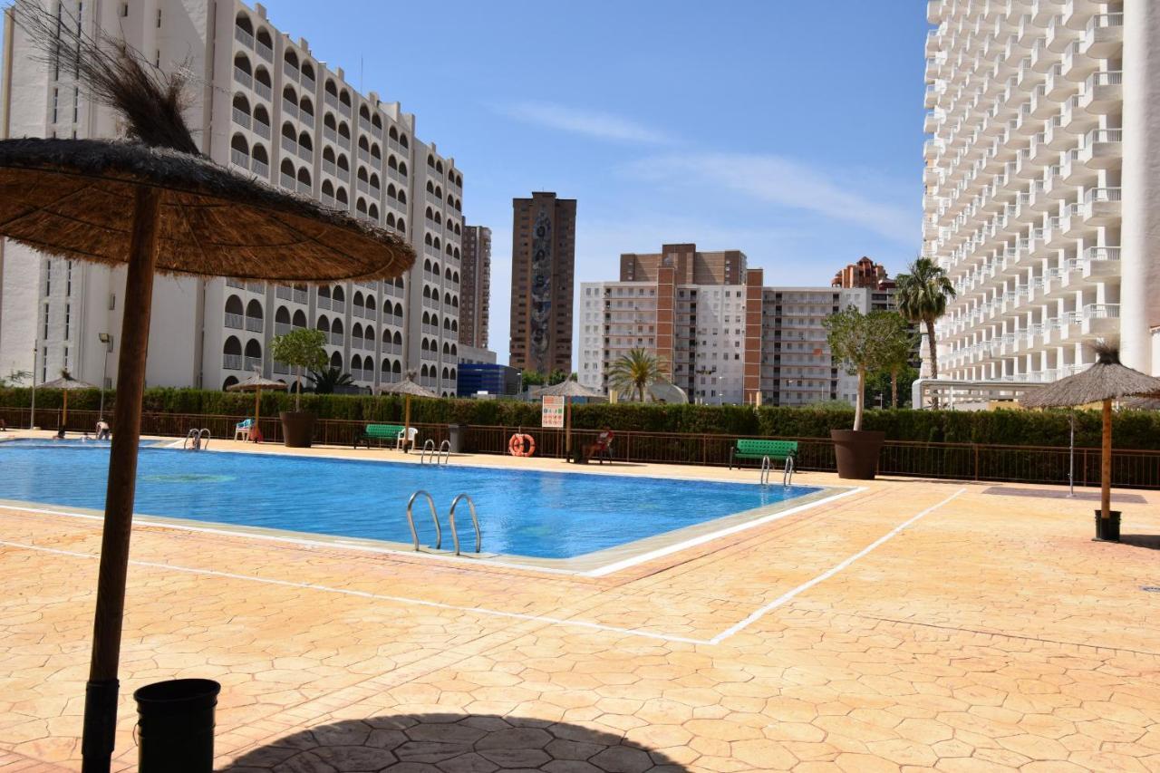 Acuarium 3 - Fincas Arena Benidorm Eksteriør bilde