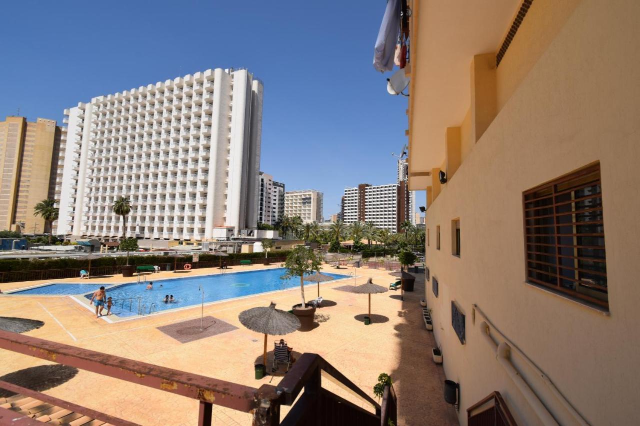 Acuarium 3 - Fincas Arena Benidorm Eksteriør bilde