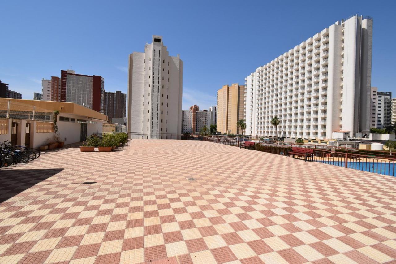 Acuarium 3 - Fincas Arena Benidorm Eksteriør bilde