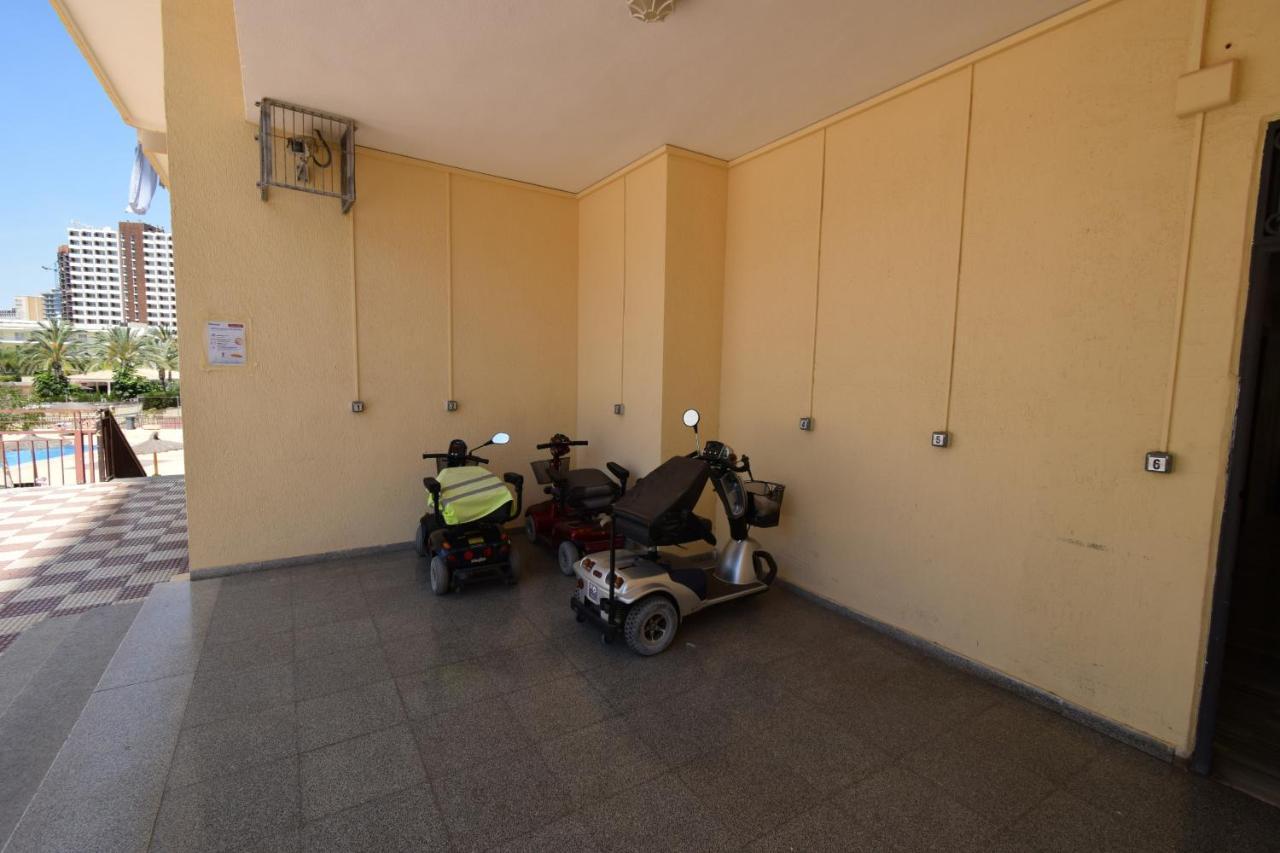Acuarium 3 - Fincas Arena Benidorm Eksteriør bilde